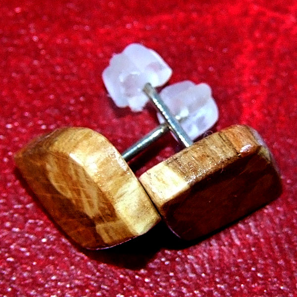 Stud Earrings